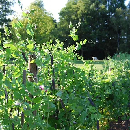 Bed&brood De Straverdonk Graft