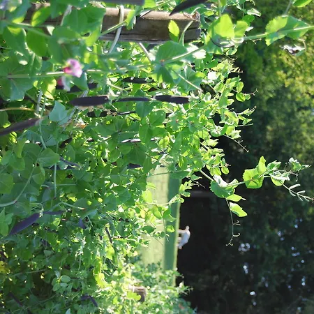 Bed&brood De Straverdonk