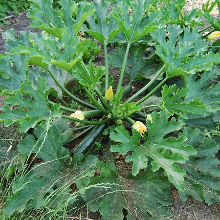 Bed&brood De Straverdonk