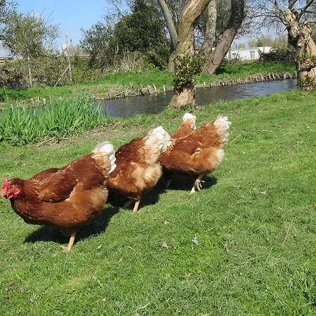 Bed&brood De Straverdonk Graft