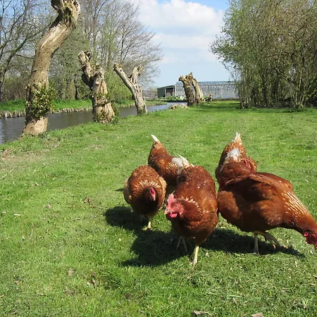 Nyaraló Bed&brood De Straverdonk Graft