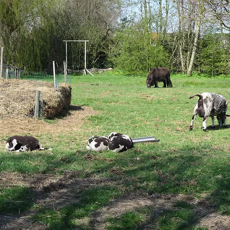 Nyaraló Bed&brood De Straverdonk Graft