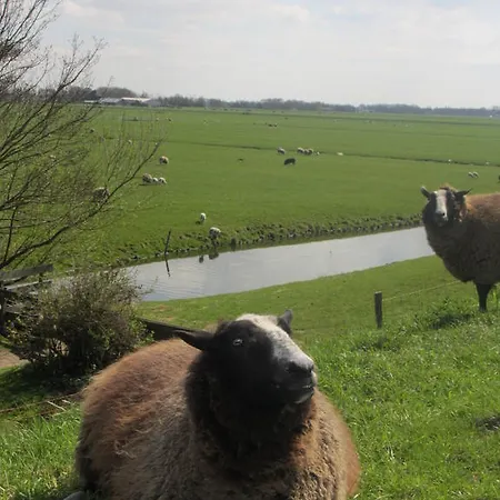 Bed&brood De Straverdonk