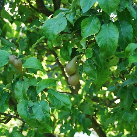 Bed&brood De Straverdonk Graft