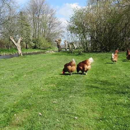 Semesterbostad Bed&brood De Straverdonk *