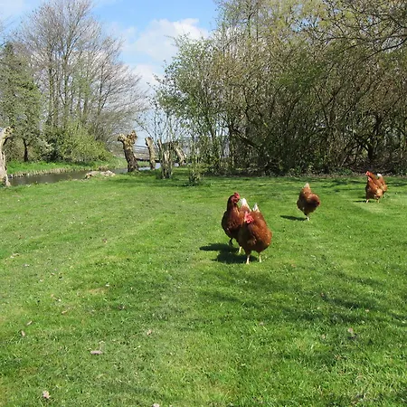 Semesterbostad Bed&brood De Straverdonk