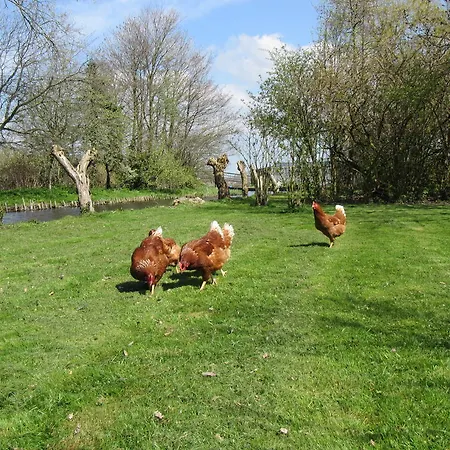 Bed&brood De Straverdonk